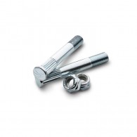PARIS Kingpin 2,5" plus KP nut silver 